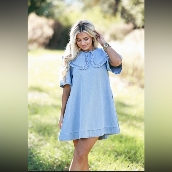 Mable Denim Collar Dress - Picture 3 of 5